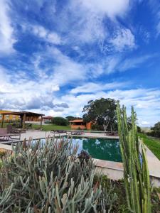 une piscine avec un cactus au premier plan dans l'établissement Villa dos Pireneus, à Pirenópolis