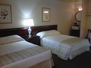 ein Hotelzimmer mit 2 Betten und einer Lampe in der Unterkunft Caravelle Inn Extended Stay in San Jose