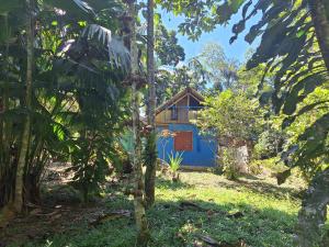 una casa in mezzo a una foresta di Amazon Tropical Expeditions a Iquitos