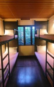 two bunk beds in a room with two windows at Monsoon Retreats Ecostay- Treehouse in Thekkady