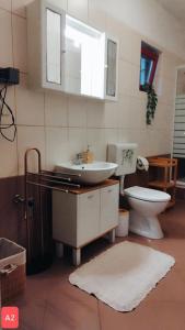 a bathroom with a sink and a toilet at Apartments Josef - sea view in Veli Rat