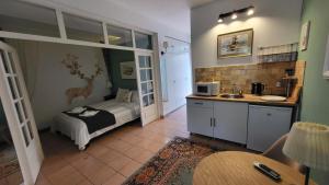 a room with a kitchen with a sink and a bed at Casa Vanatorului in Sighişoara