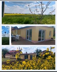 two pictures of a house and a field of flowers at Landleben! Bungalow Feldblick 5 Personen in Blankensee +29 photos