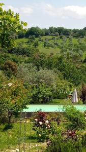 vista sulla piscina in giardino di B&B and Wellness Il Pomario di Montepiglio Resort Naturista ad Amelia