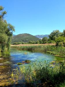 un río con árboles y hierba en primer plano en L'armonica di nonnoSandro, en Corfinio