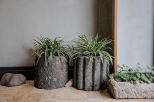 Φωτογραφία από το άλμπουμ του Meadow Lodge Hotel Taizhou σε Taizhou