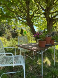 un tavolo con piante in vaso sotto un albero di Peace And Quiet In Idyllic Original Cottage a Gørlev