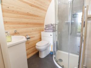 a bathroom with a toilet and a shower at Luna Holiday Pod in Shrewsbury