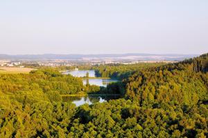 Příroda nedaleko apartmánu
