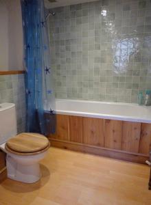 a bathroom with a toilet and a bath tub at Mill House Barn in Okehampton