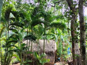 a straw hut in a jungle with palm trees at Jungle House Kep in Kep