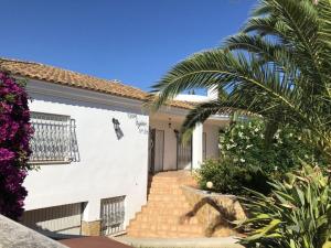 una casa bianca con una palma e scale di Casa Ayelen Comfortable holiday residence a Vinarós