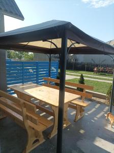 a picnic table under an umbrella with a cat under it at Casa Katiușa in Jurilovca
