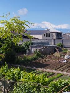 a garden with a building and mountains in the background at Guesthouse Ed&Er in Geghanist