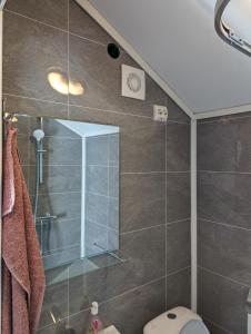 uma casa de banho com uma cabina de duche em vidro e um WC. em Midtbø Gard em Åna-Sira