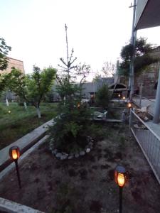 a garden with a tree and lights in the yard at Guesthouse Ed&Er in Geghanist