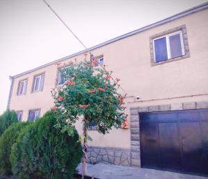 a tree in front of a building with a garage at Guesthouse Ed&Er in Geghanist