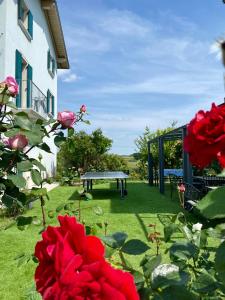 um jardim com uma mesa de piquenique e rosas vermelhas em ROSETO HOLIDAYS AZZURRO em Cavalcaselle