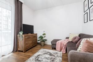 ein Wohnzimmer mit einem Sofa und einem TV in der Unterkunft Cayenne Premium Apartment Airport in Warschau