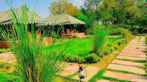 un jardín con una tienda y un poco de hierba y plantas en Pritampalace resort, en Khilchīpur