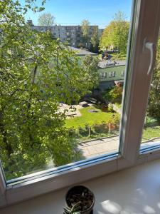 a window with a view of a park at Apartment on the 4th floor in Jūrmala
