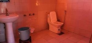 馬拉里的住宿－Welstays Beas River，一间带卫生间和水槽的浴室