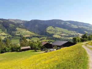 un champ de fleurs jaunes sur une colline avec une grange dans l'établissement Schernthaner mountain hut, à Taxenbach