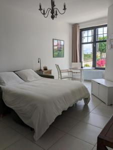 1 dormitorio con 1 cama grande y 1 mesa en Les Jolis Nids - Studio Moineau, en La Roche-Posay