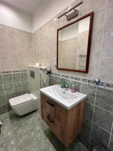 a bathroom with a sink and a toilet and a mirror at Pension Robin in Jáchymov
