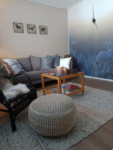 Et opholdsområde på Revontuli 1