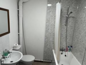 a bathroom with a toilet a sink and a shower at Spacious 3 Bed Flat in Greenwich in London