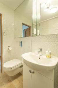 ein Badezimmer mit einem Waschbecken, einem WC und einem Spiegel in der Unterkunft Park apartment in Druskininkai