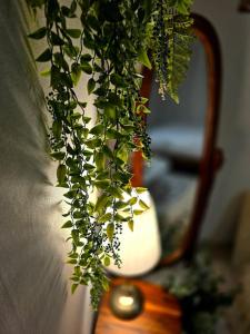 Φωτογραφία από το άλμπουμ του Healing & Romang house στη Σεούλ
