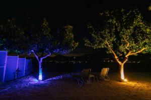 two chairs and two trees at night with lights at Amfithea Villas Petrokefali in Petrokefálion