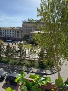a view of a parking lot with a tree and buildings at Old City Guesthouse and Tour Ulaanbaatar Hostel in Ulaanbaatar