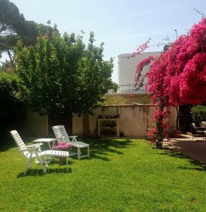 Vonkajšia záhrada v ubytovaní La depandance di Villa Rosa locazioni brevi