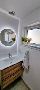 a bathroom with a sink and a mirror at City Fringe Apartment with garage in Wellington