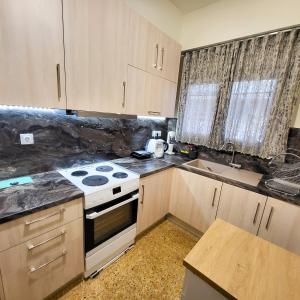 Dapur atau dapur kecil di Green ART House Athens