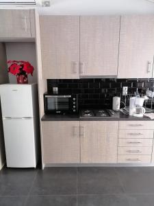 La cuisine est équipée d'un réfrigérateur blanc et d'un four micro-ondes. dans l'établissement Manolis Loft, au Pirée