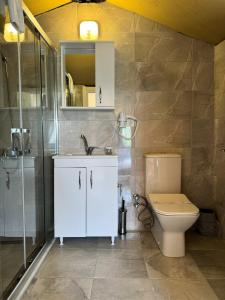 W łazience znajduje się toaleta, umywalka i prysznic. w obiekcie Le Petit Hotel ve Bağ Evi w mieście Bozcaada