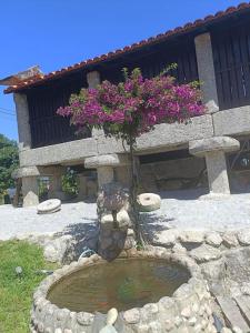 uma fonte de pedra com uma árvore em frente a um edifício em Quinta da avó Miquinhas em Vieira do Minho