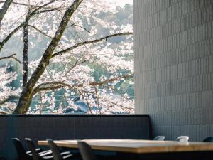 a view of a tree with pink cherry blossoms at TEF TANIGUMI - Vacation STAY 78822v 