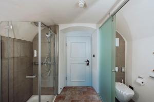uma casa de banho com um chuveiro e um WC. em Hotel Kloster Fischingen em Fischingen