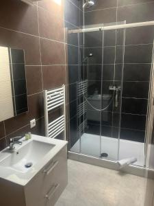 een badkamer met een douche en een wastafel bij Gaststätte Pütz in Siegen