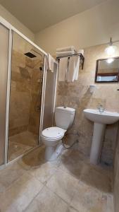 a bathroom with a toilet and a sink and a shower at Elysee Cave House in Göreme
