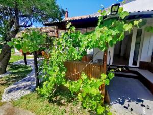 Vonkajšia záhrada v ubytovaní Dolce Weekend Balaton