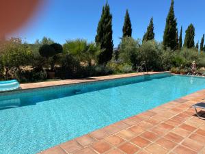 uma piscina num quintal com árvores em La Guzmana de Ronda em Ronda