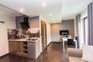 Apartamenty Dawna Wisłaにあるテレビまたはエンターテインメントセンター