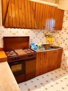 a kitchen with a stove and a sink at La Casa di Campo Staffi in Filettino Graziani