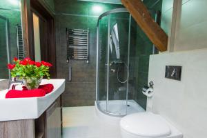 Apartamenty Dawna Wisłaにあるバスルーム